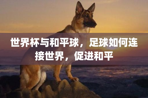 世界杯与和平球，足球如何连接世界，促进和平洛阳市法福文化传播有限公司
