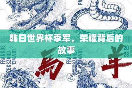 韩日世界杯季军，荣耀背后的故事