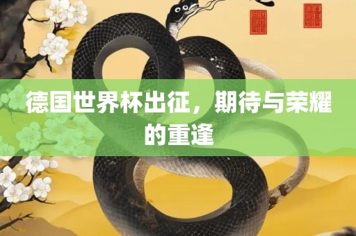 德国世界杯出征，期待与荣耀的重逢洛阳市法福文化传播有限公司