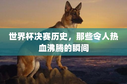 世界杯决赛历史，那些令人热血沸腾的瞬间