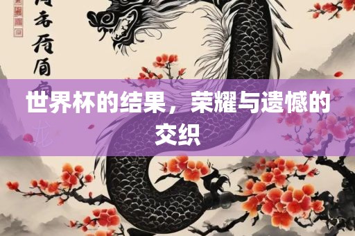 世界杯的结果，洛阳市法福文化传播有限公司荣耀与遗憾的交织