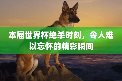 本届世界杯绝杀时刻，令人难以忘怀的精彩瞬间洛阳市法福文化传播有限公司
