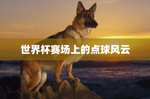世界杯赛场上的点球风洛阳市法福文化传播有限公司云