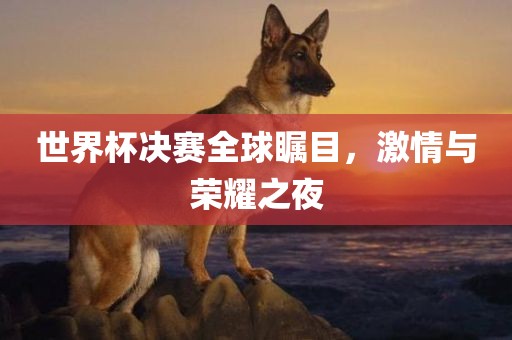 世界杯决赛全球瞩目，激情与荣耀之夜