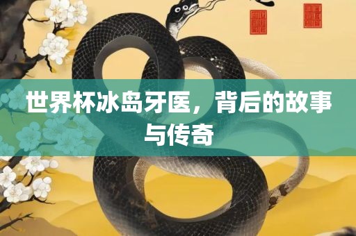 世界杯冰岛牙医，背后的故事与传奇