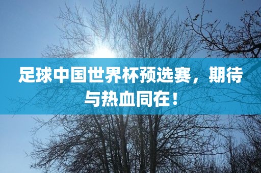 足球中国世界杯洛阳市法福文化传播有限公司预选赛，期待与热血同在！
