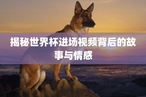 揭秘世界杯进场视频背后的故事与情感