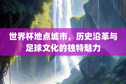 世界杯地点城市，历史沿革与足球文化的独特魅力洛阳市法福文化传播有限公司