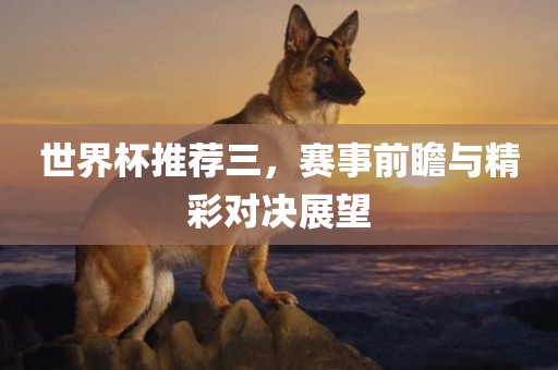 chenjiarong 第4页