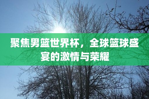 聚焦男篮世界杯，全球篮球盛宴的激情与荣耀