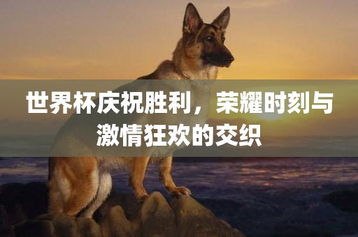 世界杯庆祝胜利，荣耀时刻与激情狂欢的交织洛阳市法福文化传播有限公司