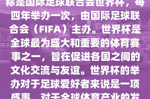 世界杯是一项国际足球赛事，全称是国际足球联合会世界杯，每四年举办一次，由国际足球联合会（FIFA）主办。世界杯是全球最为盛大和重要的体育赛事之一，旨在促进各国之间的文化交流与友谊。世界杯的举办对于足球爱好者来说是一项盛事，对于全球体育产业的发展也具有重要影响。洛阳市法福文化传播有限公司