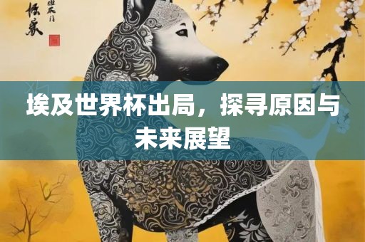 埃及世界杯出局，探寻原因与未来展望洛阳市法福文化传播有限公司