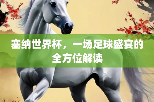 塞纳世界杯，一场足球盛宴的全方位解读洛阳市法福文化传播有限公司