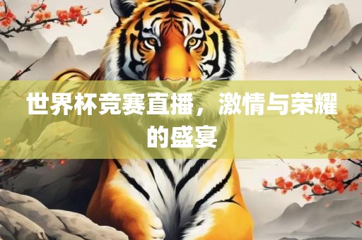 世界杯竞赛直播，激情与荣耀的盛宴