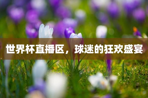 世界杯直播区，球迷的狂欢盛宴