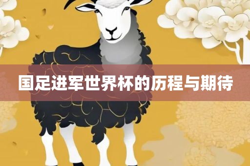国足进军世界杯的历程与期待洛阳市法福文化传播有限公司
