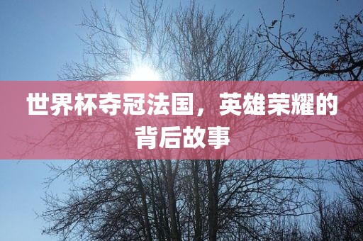 世界杯夺冠法国，英雄荣耀的背后故事