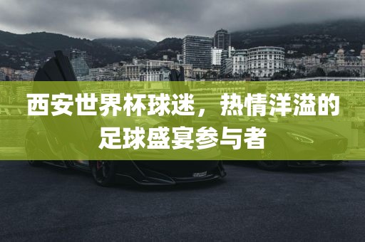 西安世界杯球迷，热情洋溢的足球盛宴参与者洛阳市法福文化传播有限公司