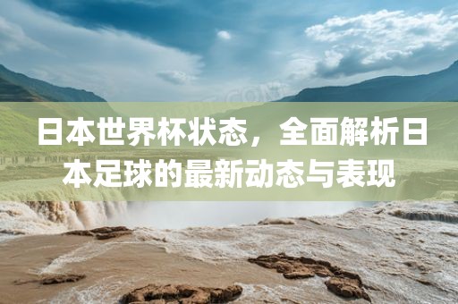 日本世界杯状态，全面解析日本足球的最新动态与表现洛阳市法福文化传播有限公司
