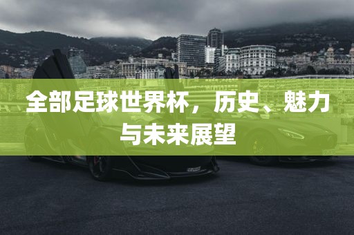 全部足球世界杯，历史、魅力与未来展望