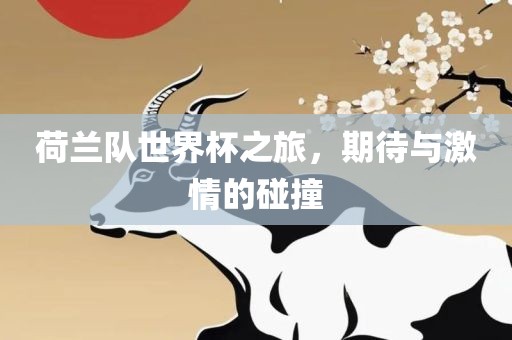 荷兰队世界杯之旅，期待与激情的碰撞