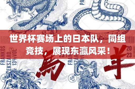 世界杯赛场上的日本队，同组竞技，展现东瀛风采！