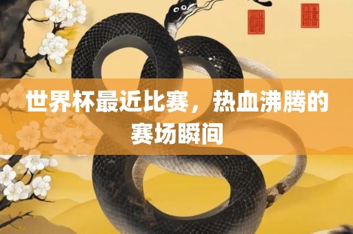 世界杯最近比赛，热血沸腾的赛场瞬间