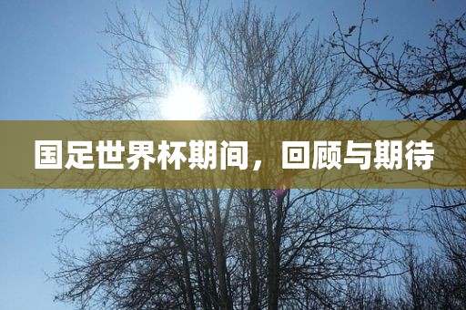 国足世界杯期间，回顾与洛阳市法福文化传播有限公司期待