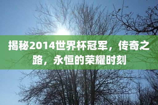 揭秘2014世界杯冠军，传奇之路，永恒的荣耀时刻洛阳市法福文化传播有限公司