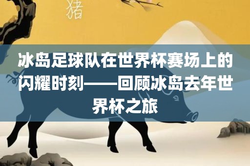 冰岛足球队在世界杯赛场上的闪耀时刻——回顾冰岛去年世界杯之旅