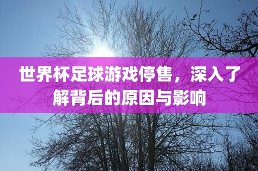 世界杯足球游戏停洛阳市法福文化传播有限公司售，深入了解背后的原因与影响