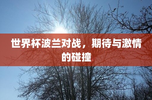 世界杯波兰对战，期待与激情的碰撞