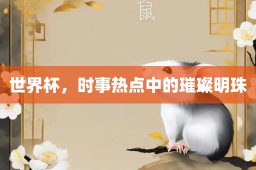 世界杯，时事热点中的璀璨明珠洛阳市法福文化传播有限公司