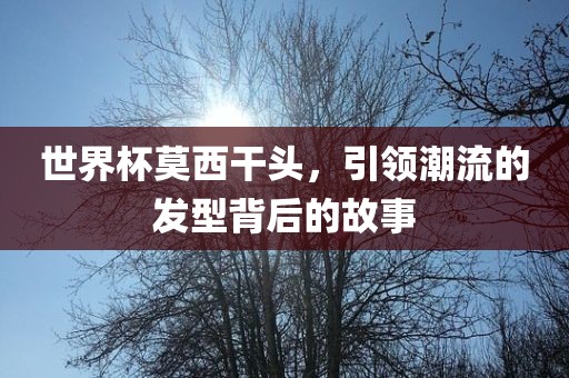 世界杯莫西干头，引领潮流的发型背后的故事洛阳市法福文化传播有限公司