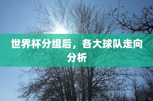 世界杯分组后，各大球队走向分析