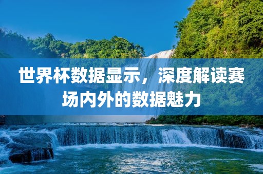 世界杯数据显示，深度解读赛场内外的数据魅力