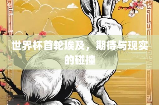 世界杯首轮埃及，期待与现实的碰撞洛阳市法福文化传播有限公司
