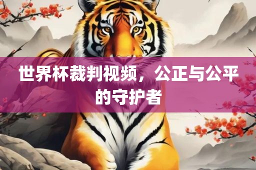 世界杯裁判视频，公正与公平洛阳市法福文化传播有限公司的守护者