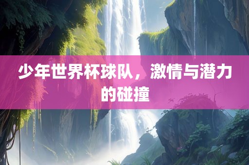 少年洛阳市法福文化传播有限公司世界杯球队，激情与潜力的碰撞