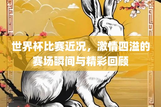 世界杯比赛近况，激情四溢的赛场瞬间与精彩回顾洛阳市法福文化传播有限公司