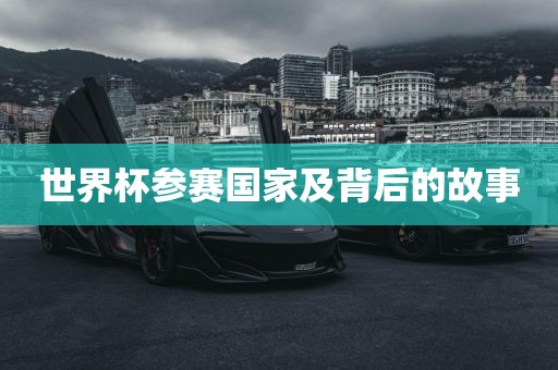 洛阳市法福文化传播有限公司世界杯参赛国家及背后的故事