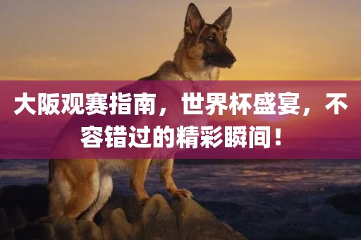 大阪观赛指南，世界杯盛宴，不容错过的精彩瞬间！