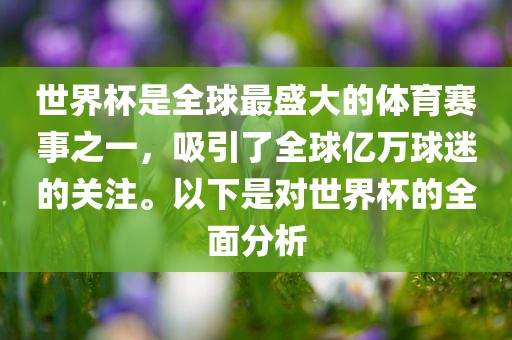 世界杯是全球最盛大的体育赛事之一，吸引了全球亿万球迷的关注。以下是对世界杯的全面分析