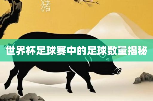 世界杯足球赛中的足球数量揭秘洛阳市法福文化传播有限公司
