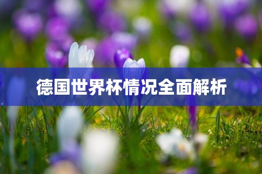 德国世界杯情况全面解析洛阳市法福文化传播有限公司
