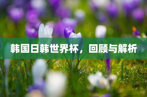 韩国日韩世界杯，回顾与解析