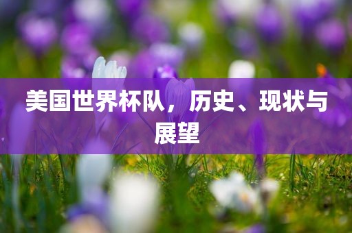 美国世界杯队，历史、现状与展望洛阳市法福文化传播有限公司