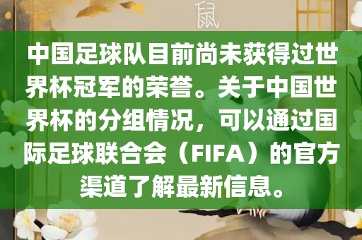 中国足球队