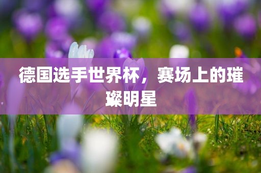 德国选手世界杯，赛场上的璀璨明星
